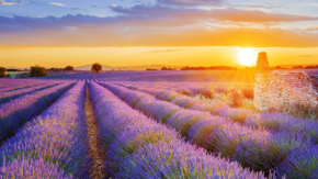 Provence